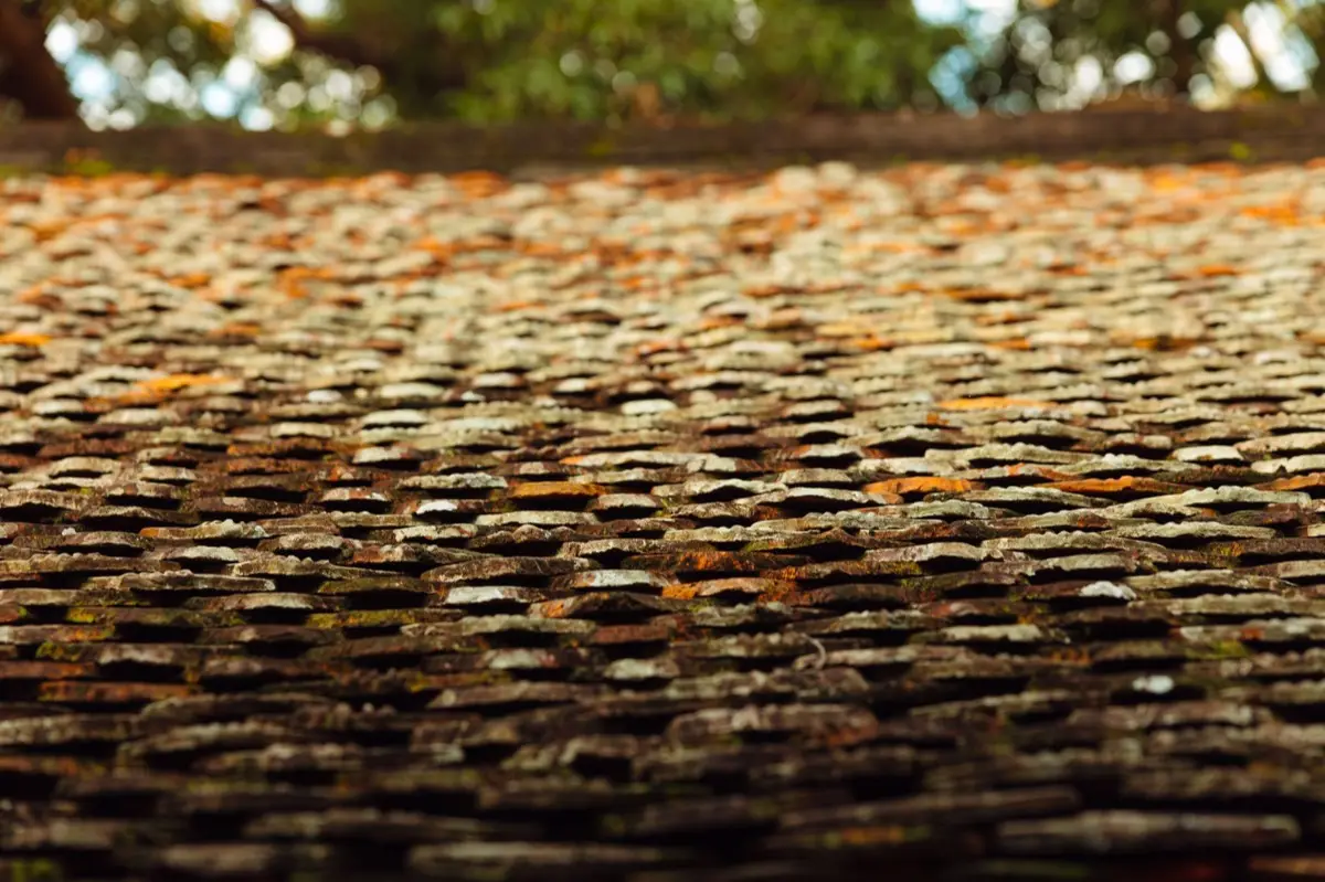 Aging shingle roof with moss growth and granule loss in Mineral Wells, TX